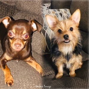 Meet your Posher, Christy